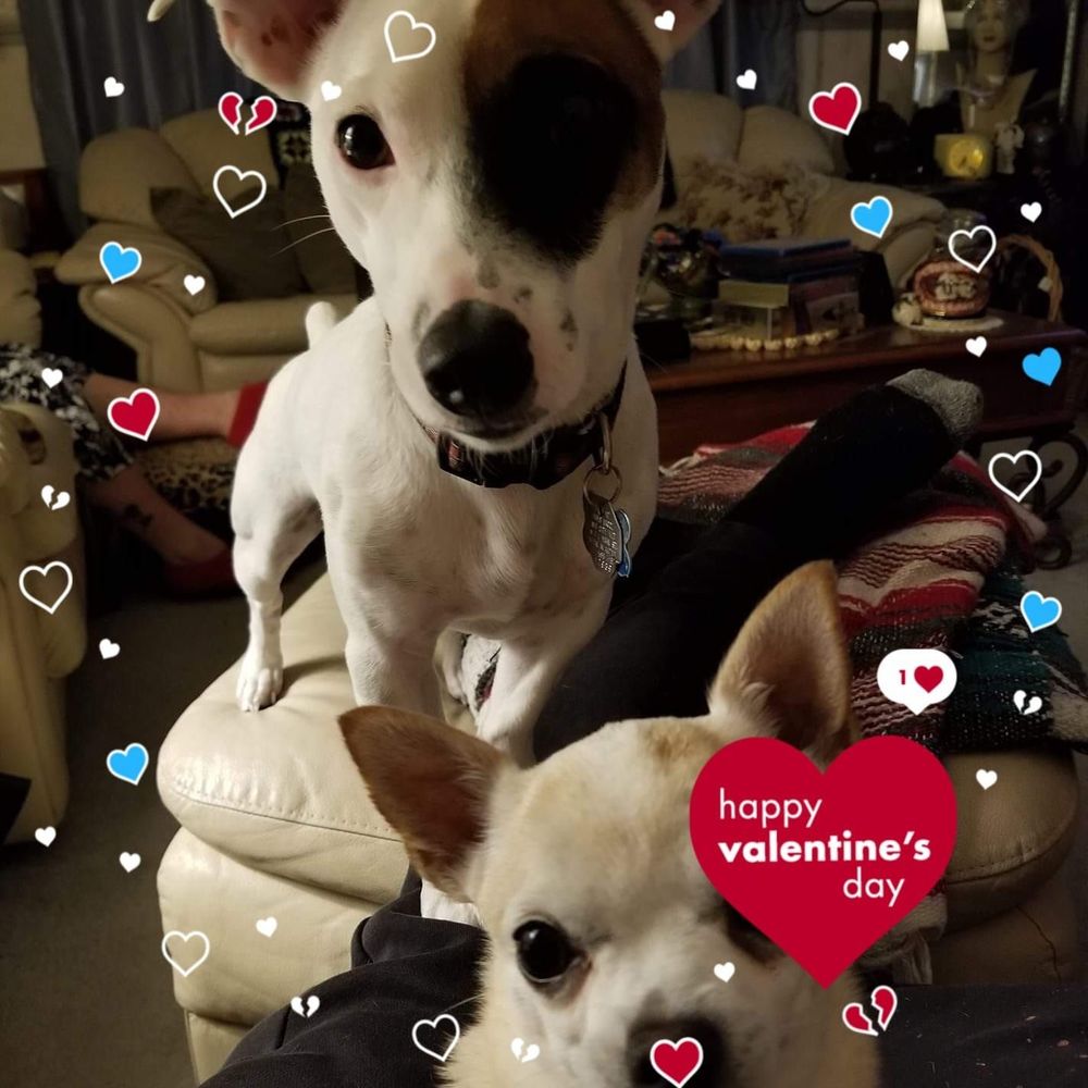 Meet your Posher, Brenda